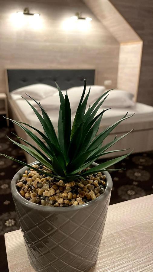 Royal Bucovina Residence Adults Only-Self Check-In Кымпулунг-Молдовенеск Экстерьер фото